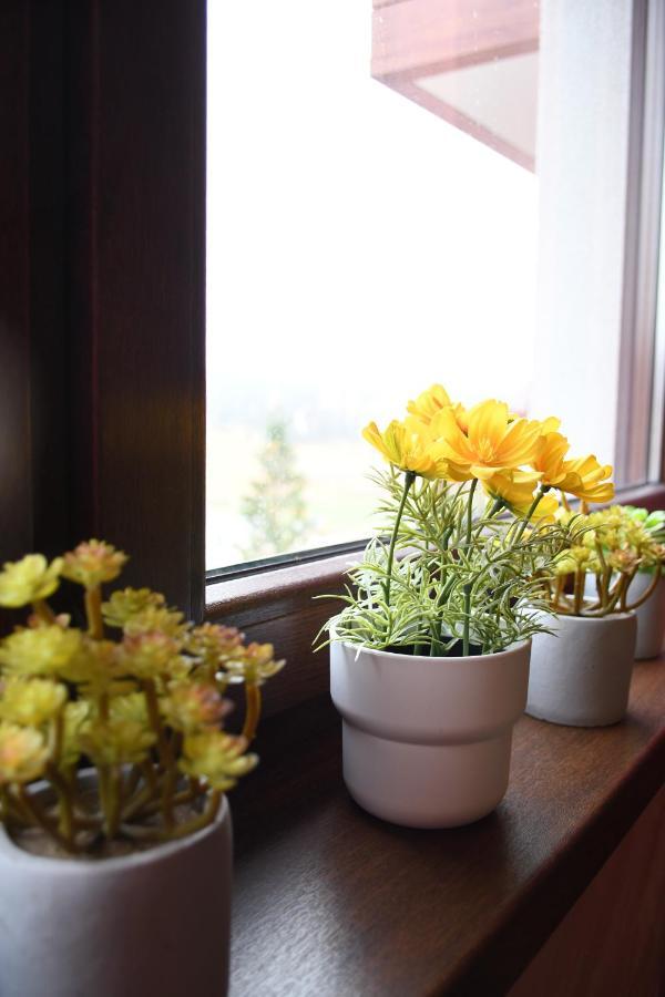 Apartman Dream Zlatibor Esterno foto